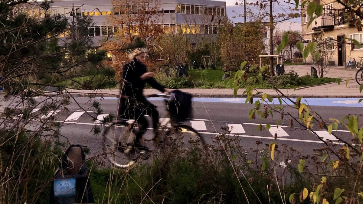 Eikeli videregående skole sto ferdig 1960 og ble den gang ansett som den flotteste og mest moderne høyere skole i Akershus.