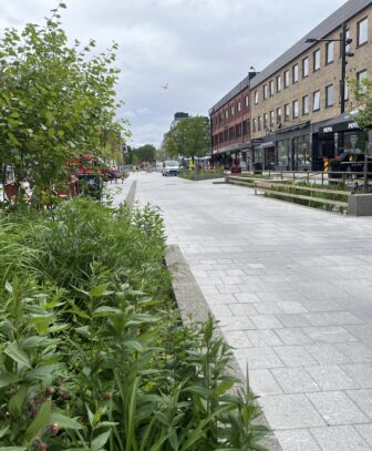 Gågate med granittbelegg og planter. Foto