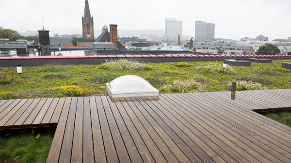 Bli med på frokostmøte hvor vi stiller følgende spørsmål: Kan vi bygge oss til mer natur i byen? Foto: esé Holte