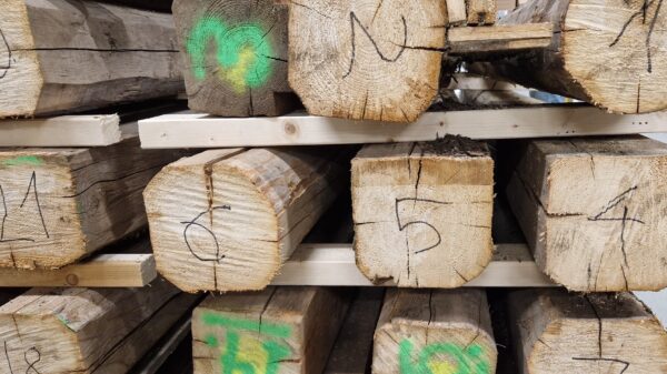 I tråd med FutureBuilts kriterier for sirkulære bygg demonteres og gjenoppbygges Nedre Sem gård  ved å utnytte eksisterende trematerialer, tegl og steinmur i nytt bygg og inventar. Foto: Veidekke