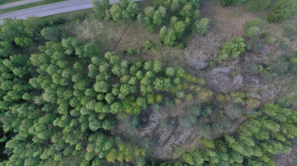 Foto: Link arkitektur as