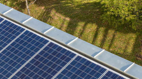 Illustrasjonsbilde. Foto: Tove Lauluten