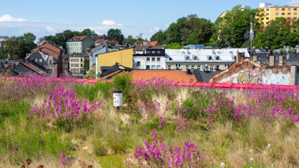 Vega scene. Foto Åse Holte/Asplan Viak