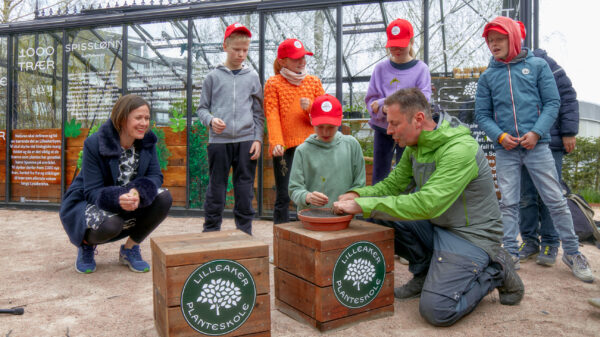 Hanna E. Marcussen, byråd for byutvikling i Oslo, planter trær sammen med elever fra Lilleaker barneskole. Foto: Mustad Eiendom/Lilleakerbyen