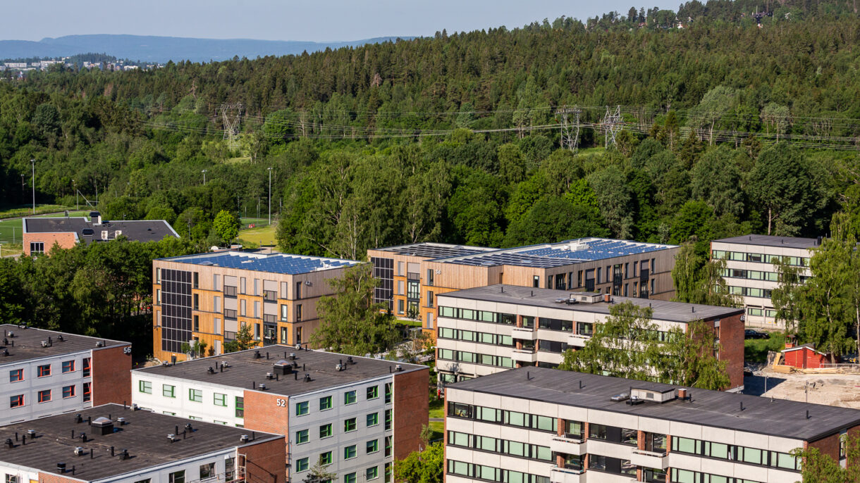 T Lauluten T5 B4919 web 72dpi